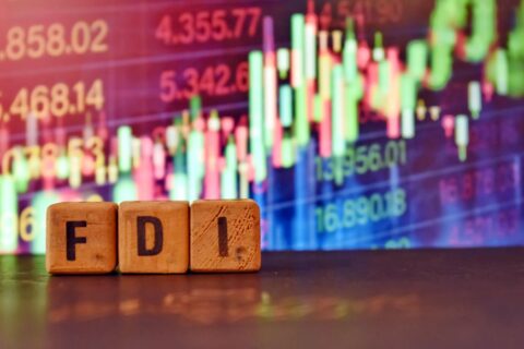 1734443123_img-fdi