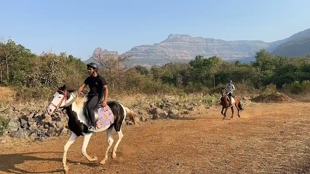 20240202_032716096_iOS_11zon