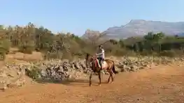 20240202_032718244_iOS-1_11zon